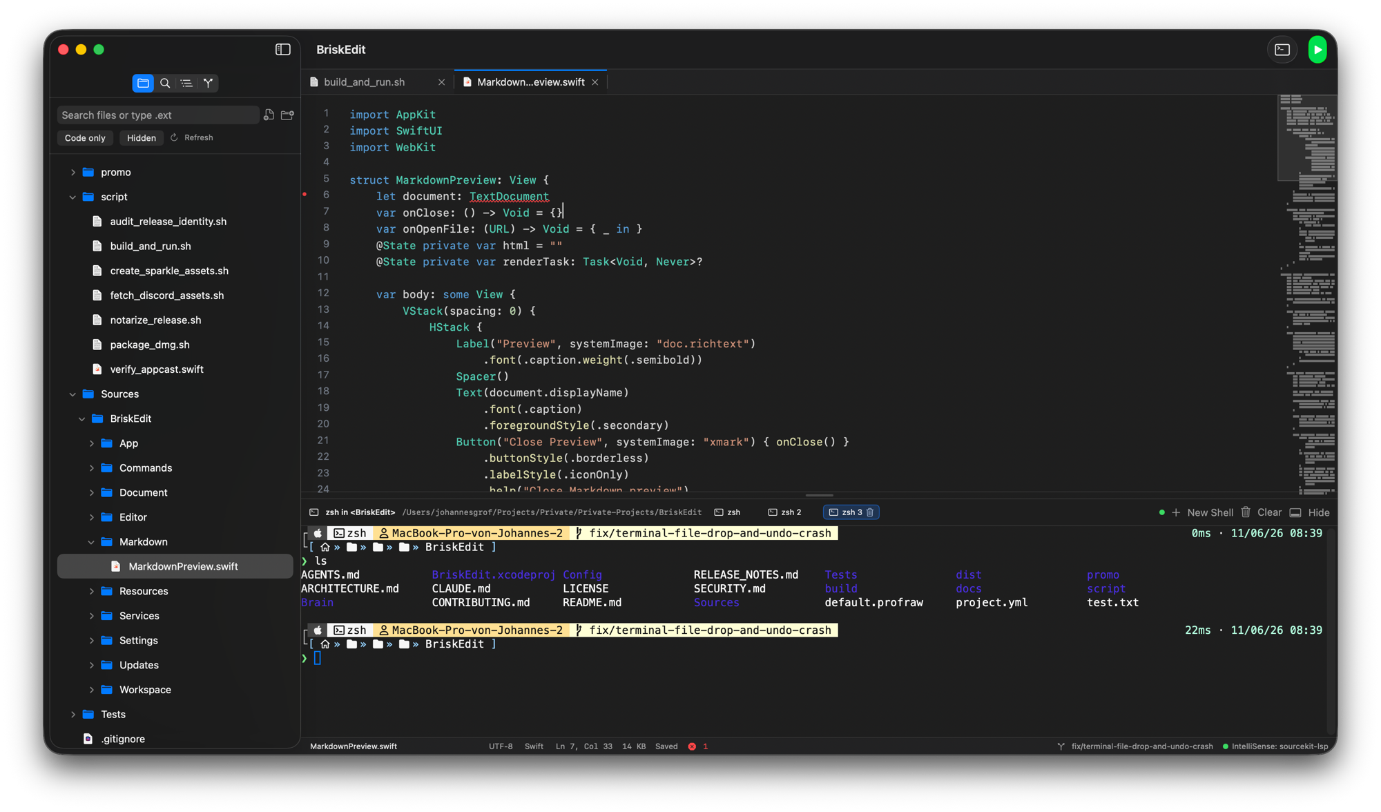 BriskEdit editing a Swift file with the file tree, tabs, and integrated terminal